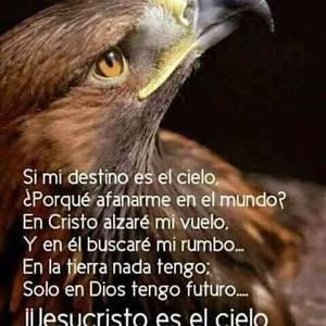 Meet your Posher, Dony